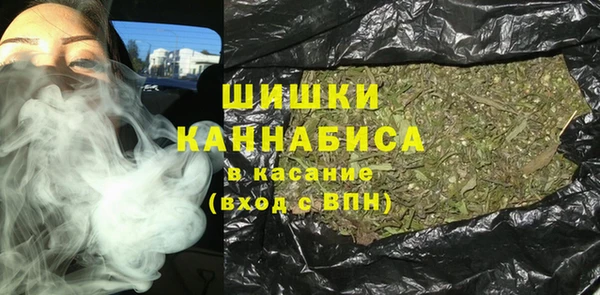 шишки Мегион