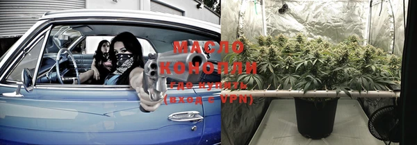 шишки Мегион